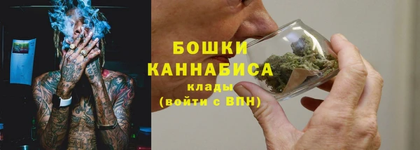 сатива Медвежьегорск