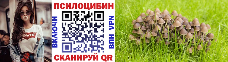 Галлюциногенные грибы мицелий Новопавловск